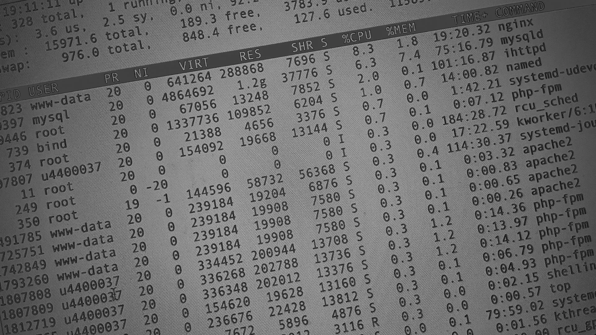 Настройка сервера в Лабинске Настройка сервера в Лабинске