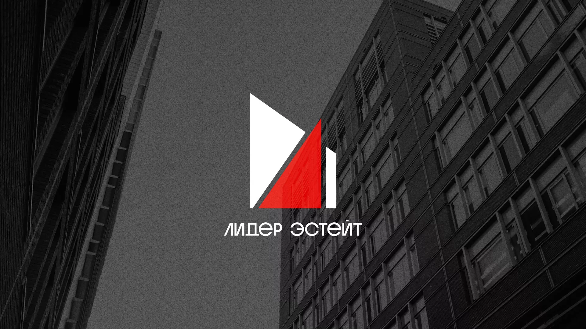 Сделали логотип для агентства недвижимости «Лидер Эстейт» в Лабинске